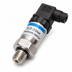 ������ ������������ �������� (����)