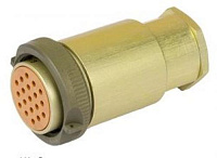 ��19�� �����