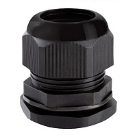 PG29 (18-25) ������