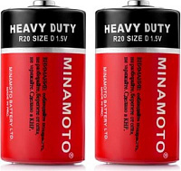 ������� ������� D ( R20 MINAMOTO 2)