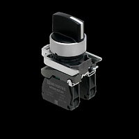 MTB4-BD33 ������������� �� 3 ��������� � ���������, �������� �����, 2NO, IP65, ������