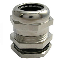 MG25 ���� ���������