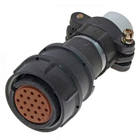 2���24���19�1�1� ������