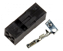 BLD2-4 ������