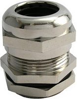 PG21 ������